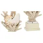 Nautilus Shell and White Coral Table Lamp