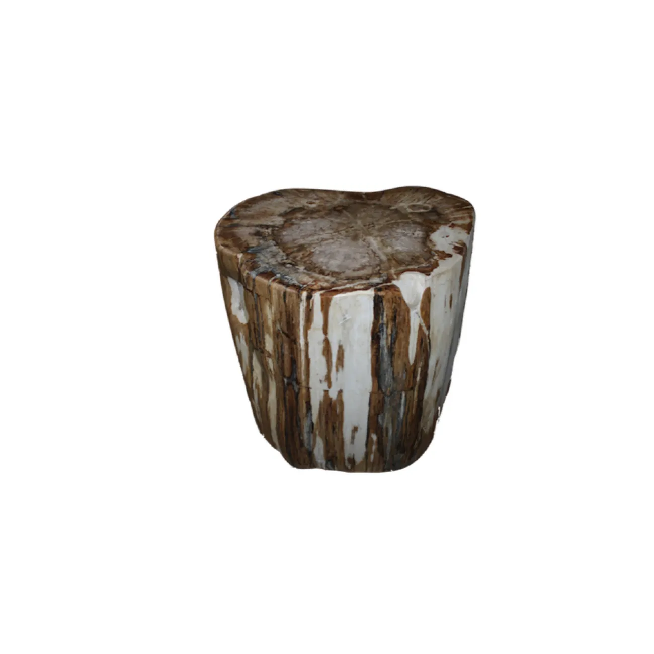 Стул из окаменелого дерева SWS002 от LaLume