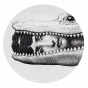Декоративная тарелка Fornasetti 233 designed by Piero Fornasetti от LaLume
