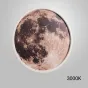 Настенный светодиодный светильник в форме диска с детальным изображением поверхности Луны COSMOS B Луна D120 3000К