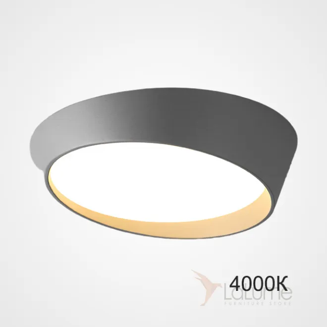 Потолочный светильник TORONTO D40 Grey 4000К от ImperiumLoft Потолочный светильник TORONTO D40 Grey 4000К от ImperiumLoft