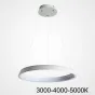 Подвесная люстра CHANETT D80 White Трехцветный свет от ImperiumLoft