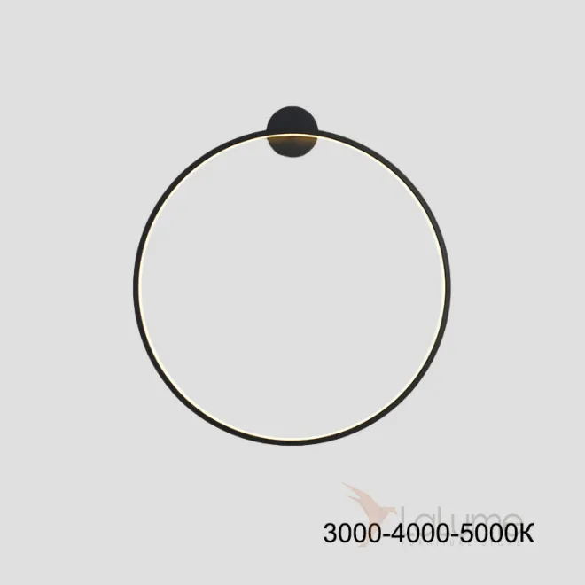 Серия настенных светильников в виде черных металлический колец разного диаметра с LED-подсветкой по контуру корпуса с круглым креплением GUARD B D30 Трехцветный свет