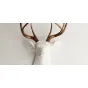 Голова оленя - Белая с бронзовыми рогами от LaLume