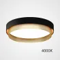 Потолочный светильник MALIA D45 Black Brass 4000К от ImperiumLoft