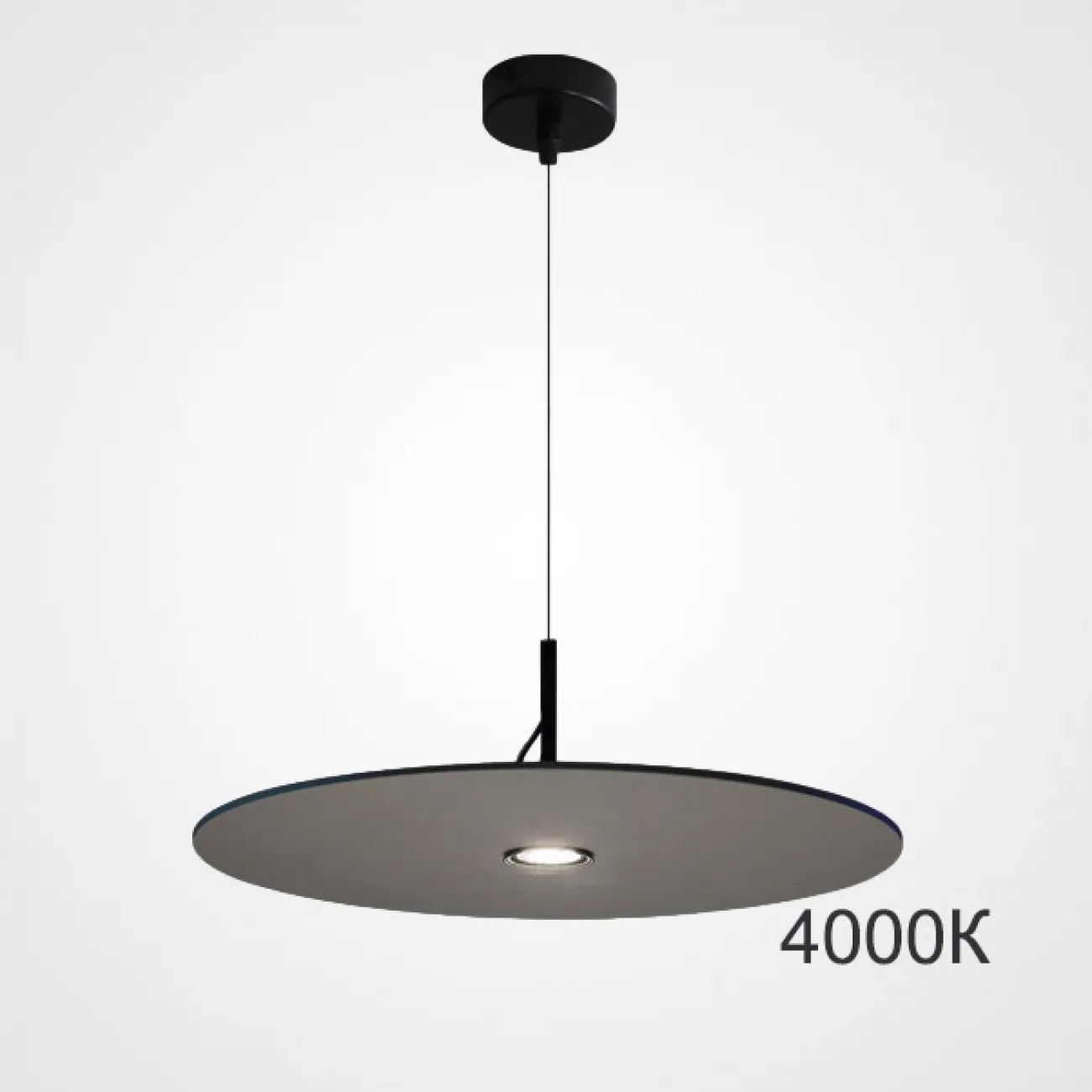 Подвесной светильник EUREKA D25 Black 3000К от ImperiumLoft
