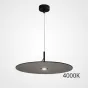 Подвесной светильник EUREKA D25 Black 3000К от ImperiumLoft