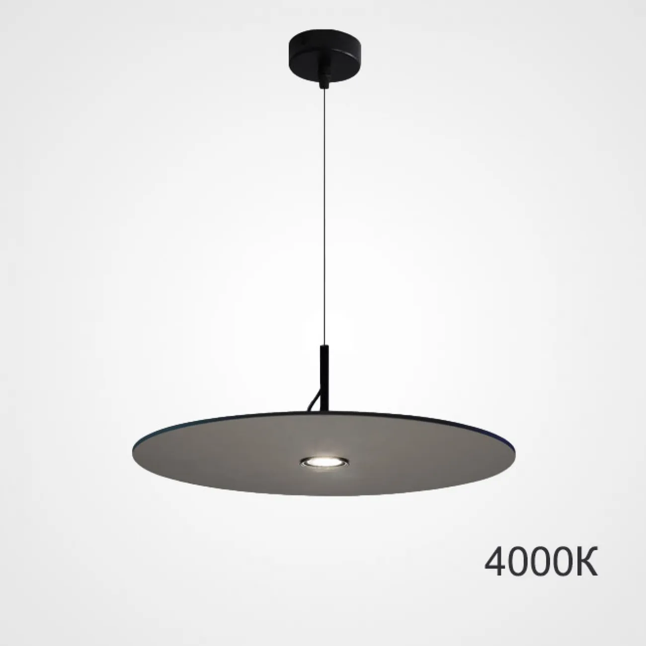 Подвесной светильник EUREKA D25 Black 3000К от ImperiumLoft