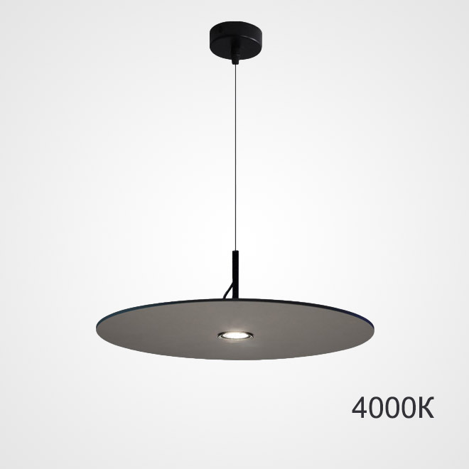 Подвесной светильник EUREKA D25 Black 4000К