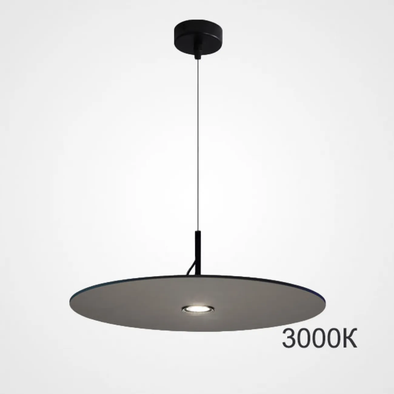 Подвесной светильник EUREKA D25 Black 3000К от ImperiumLoft