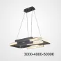 Подвесной светильник LOUELLA  A L77 Black Трехцветный свет от ImperiumLoft