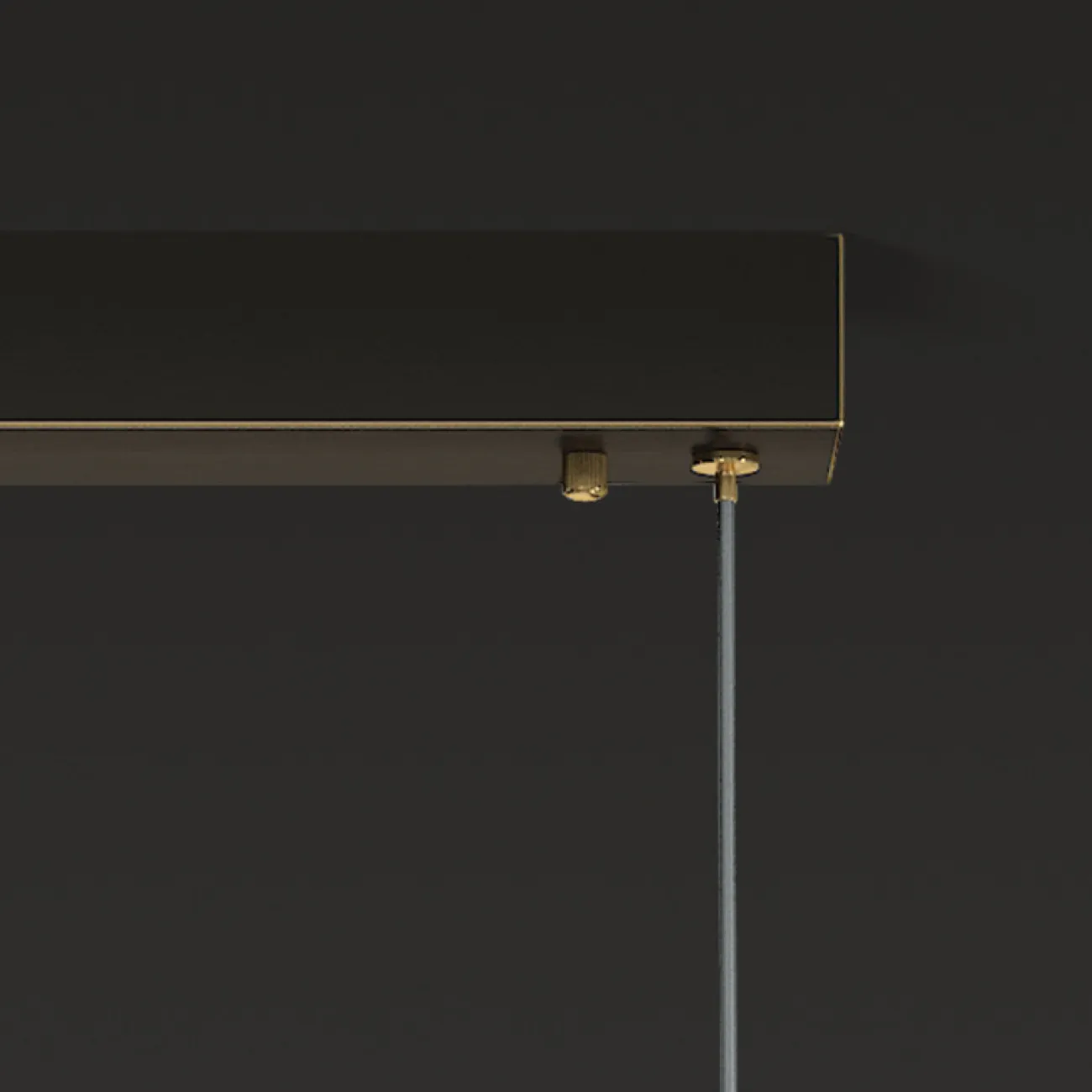 Подвесной светильник CAMILIA LONG L100 Black от ImperiumLoft