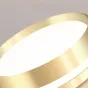 Точечный светодиодный светильник с круглой LED-панелью и световой окантовкой на цилиндрическом корпусе FAM 4000К
