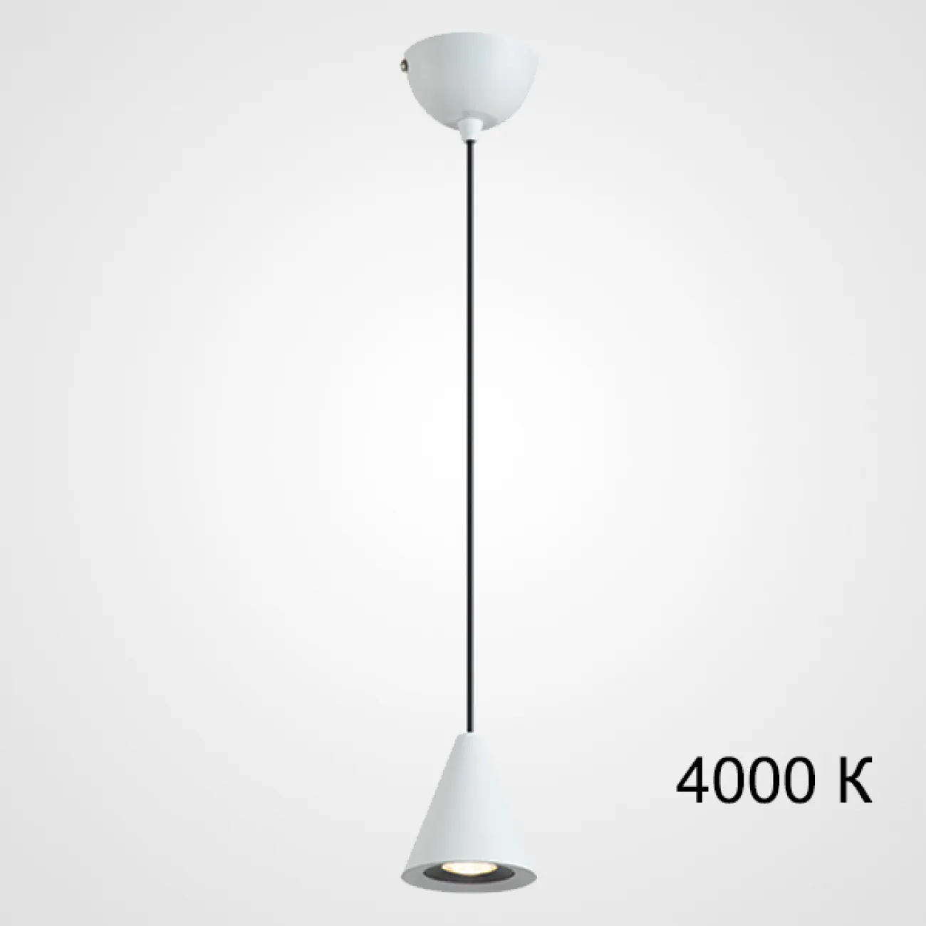 Подвесной светильник DIEGO B Black 4000К от ImperiumLoft