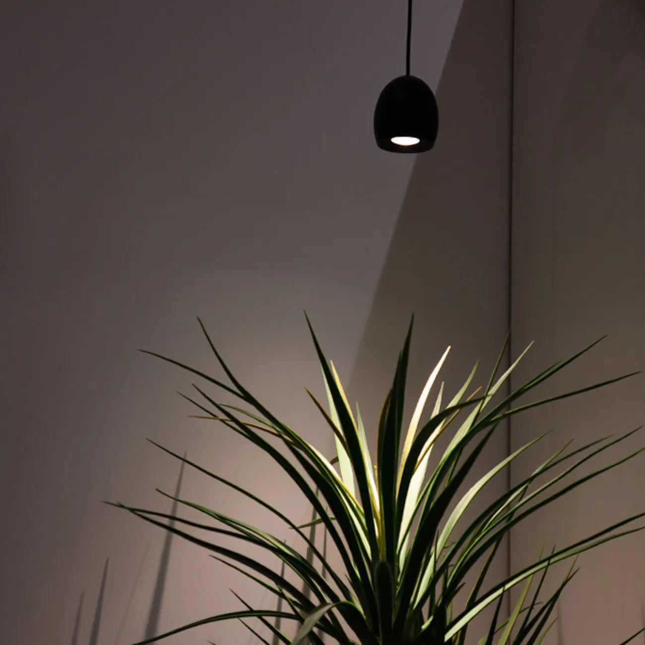 Подвесной светильник DIEGO B Black 4000К от ImperiumLoft