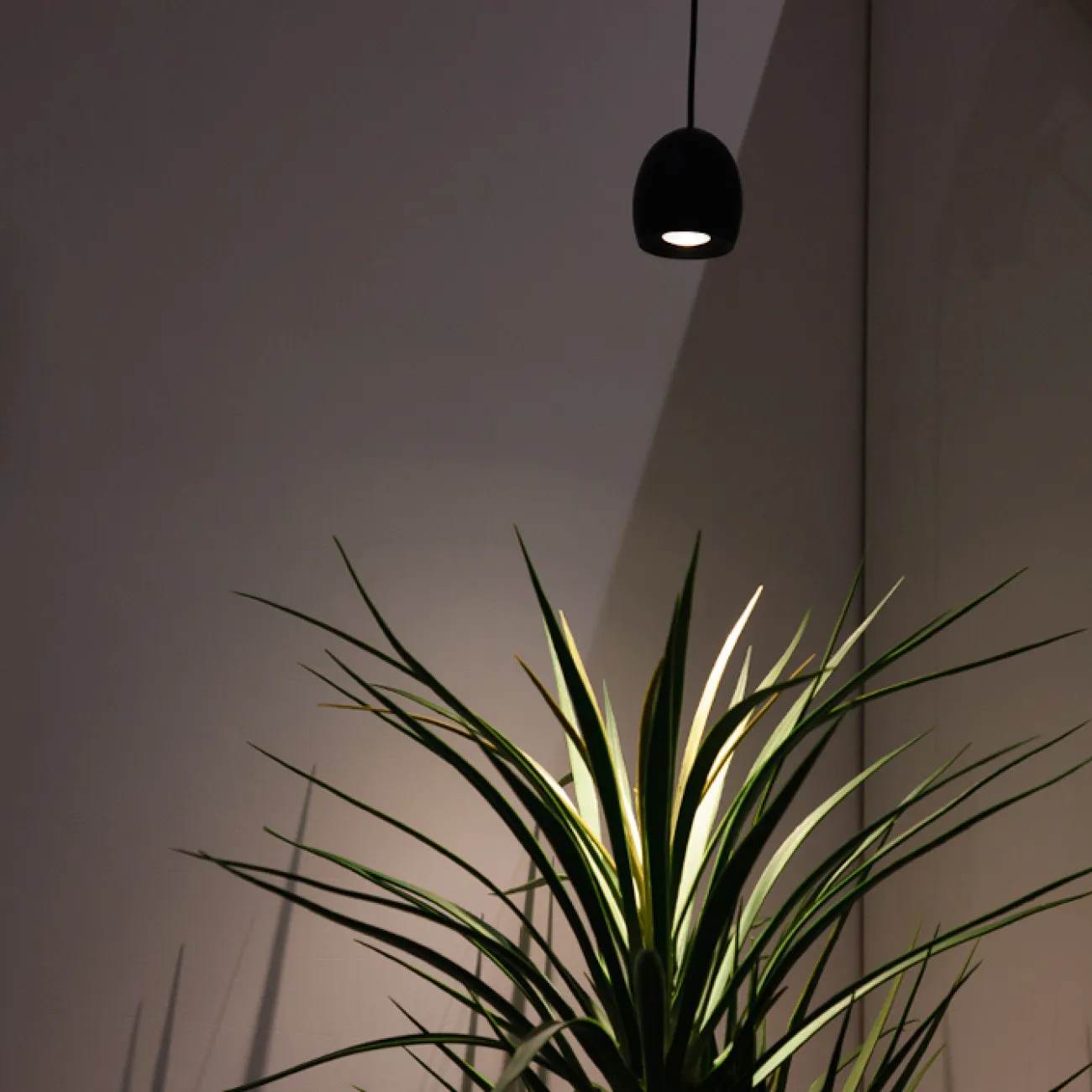 Подвесной светильник DIEGO B Black 3000К от ImperiumLoft Подвесной светильник DIEGO B Black 3000К от ImperiumLoft