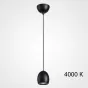 Подвесной светильник DIEGO B Black 4000К от ImperiumLoft