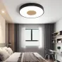 Потолочный светильник CENTRUM D30 Black от ImperiumLoft