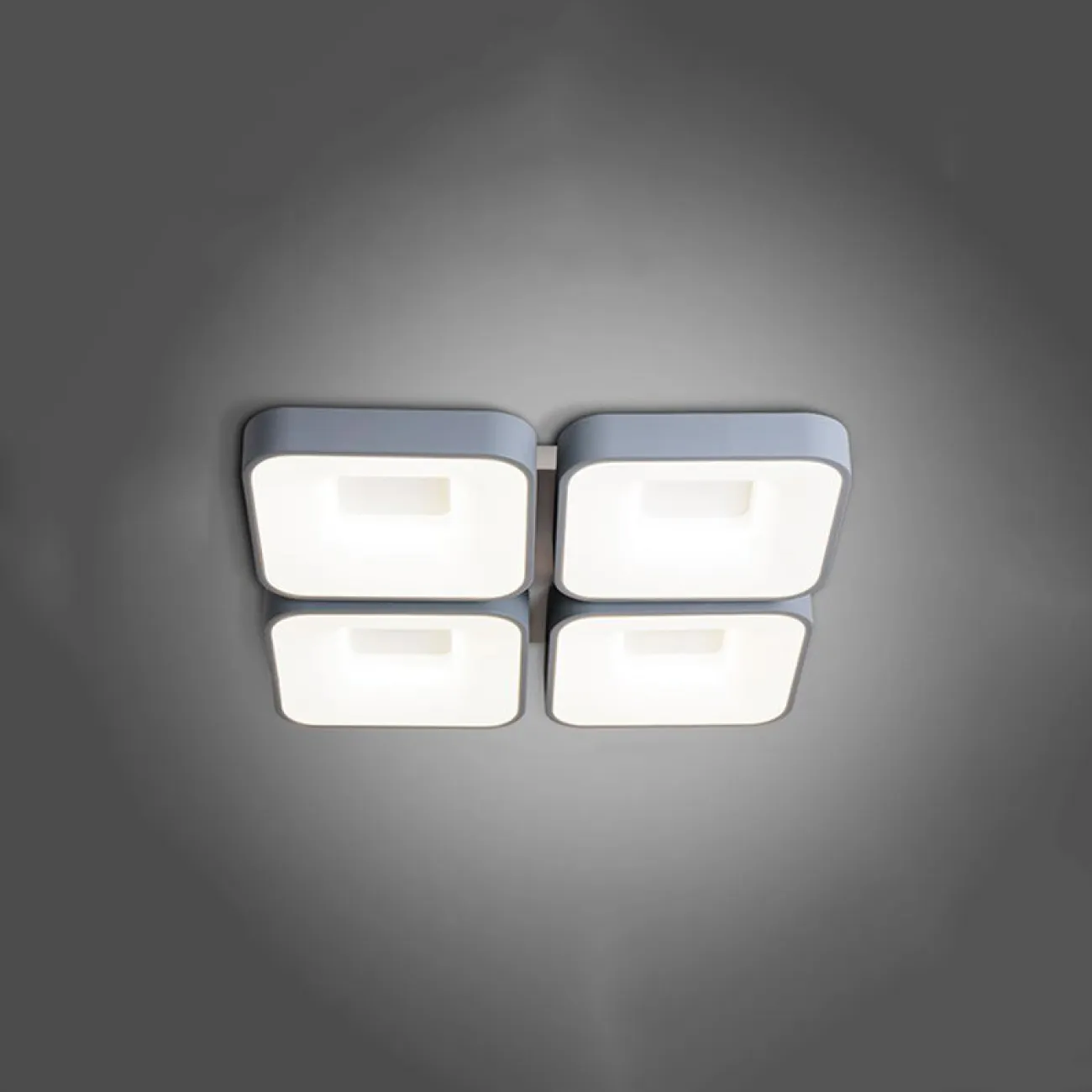 Потолочный светильник GUNA от ImperiumLoft