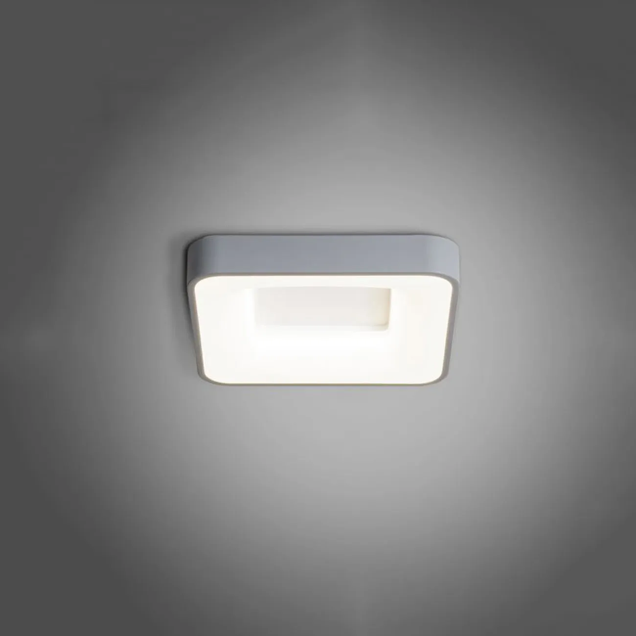 Потолочный светильник GUNA от ImperiumLoft