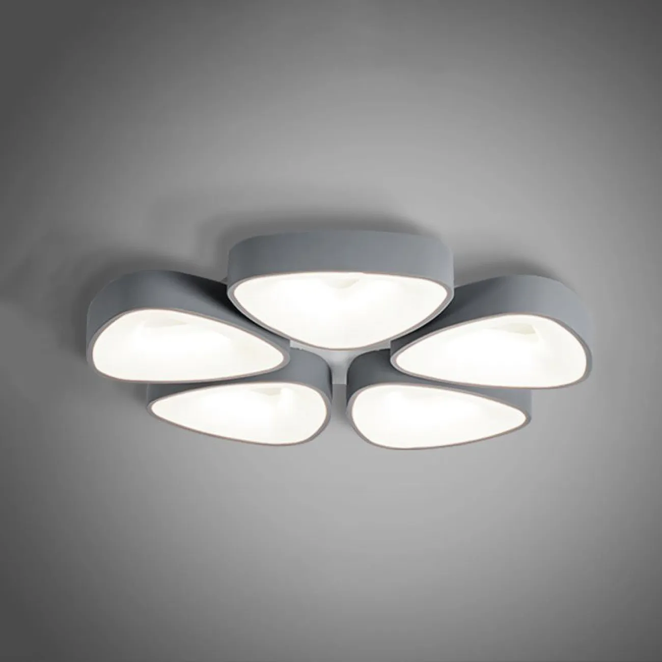 Потолочный светильник GUNA от ImperiumLoft