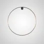 Настенный светильник WILD RING A D80 Brass от ImperiumLoft
