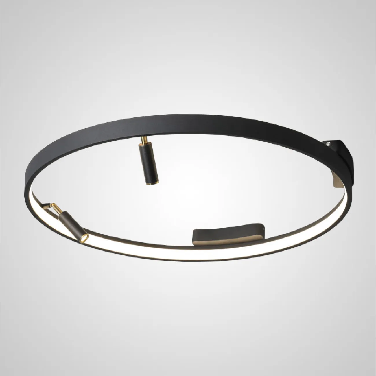 Полоточный светильник RAPID D60 от ImperiumLoft