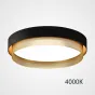 Потолочный светильник MALIA D55 Black Brass 4000К от ImperiumLoft