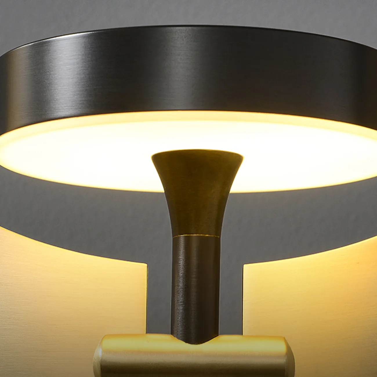 Настенный светодиодный светильник в виде комбинации круглого плафона на рожке и дисковидного рассеивателя INGARA WALL