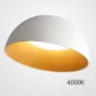 Потолочный светильник BARA A D50 White 4000К от ImperiumLoft