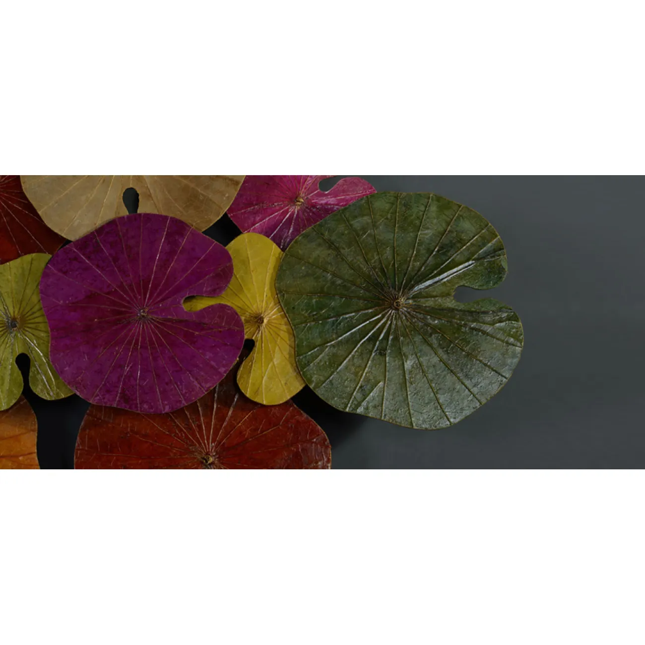 Арт-объект Disc wall art Lotus leaves II от LaLume