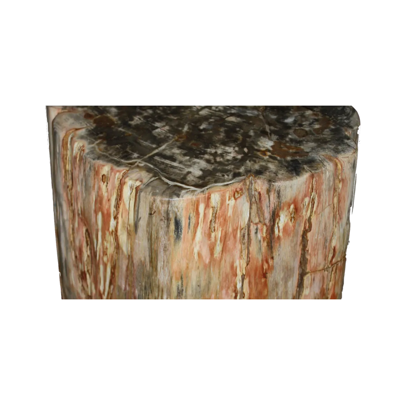 Стул из окаменелого дерева SWS003 от LaLume