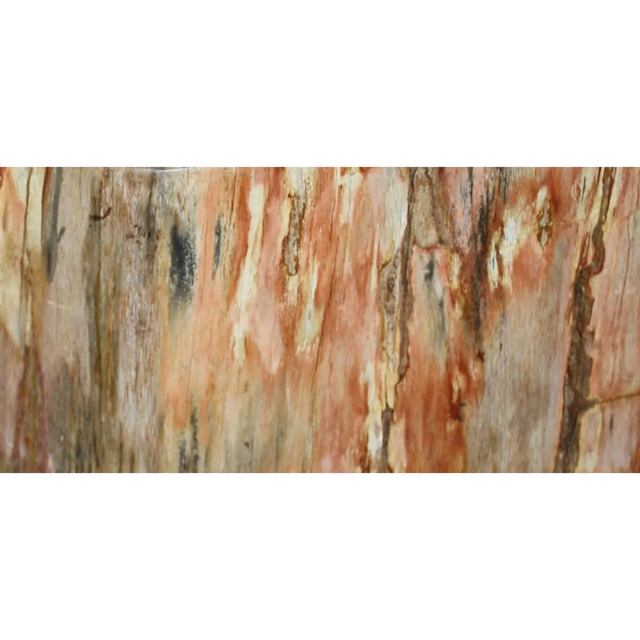 Стул из окаменелого дерева SWS003 от LaLume