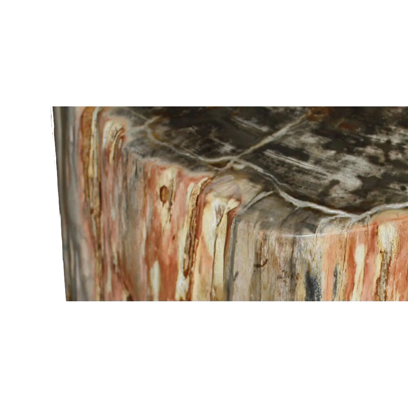 Стул из окаменелого дерева SWS003 от LaLume