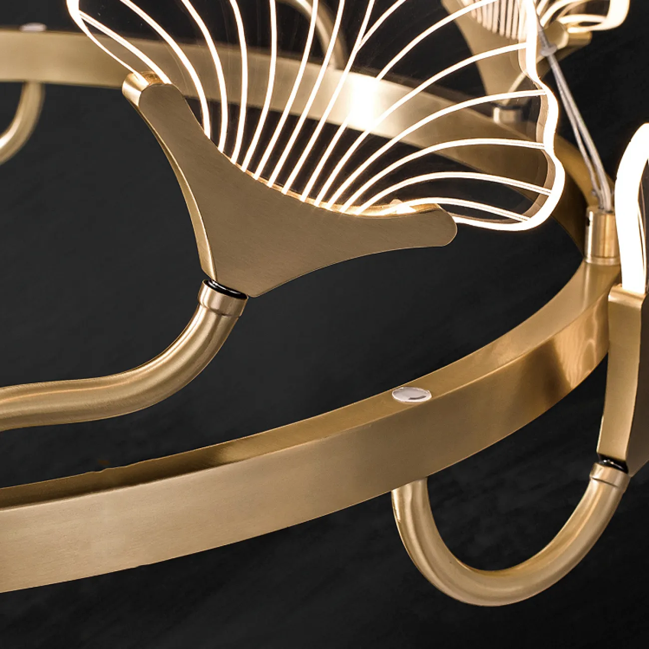 Светодиодная люстра с кольцевым каркасом SELVI B D70 от ImperiumLoft