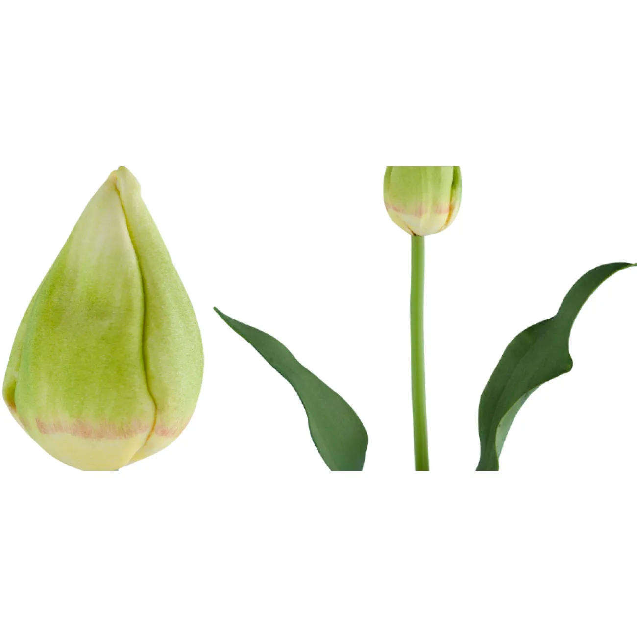 Декоративный искусственный цветок Tulip Bud от LaLume