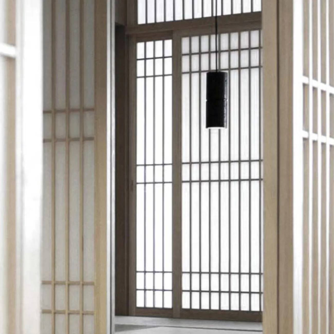 Подвесной светильник ROGERD Black от ImperiumLoft