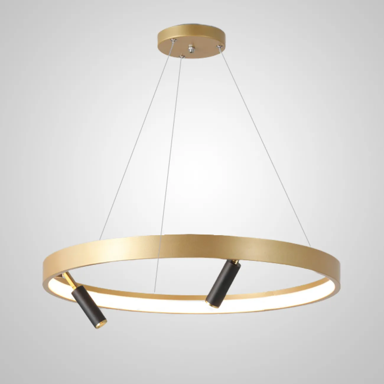 Подвесная люстра RAPID CH D100 Black Brass от ImperiumLoft