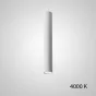 Точечный светильник PAN H50 White 4000 К от ImperiumLoft