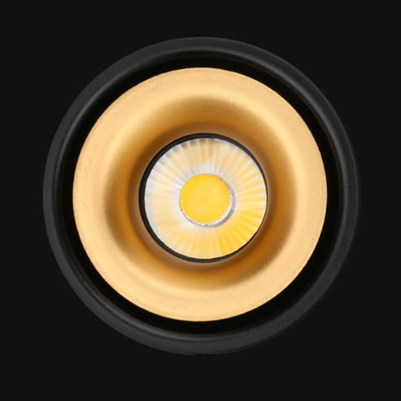Потолочный светильник AGENDA black+gold 7W от ImperiumLoft