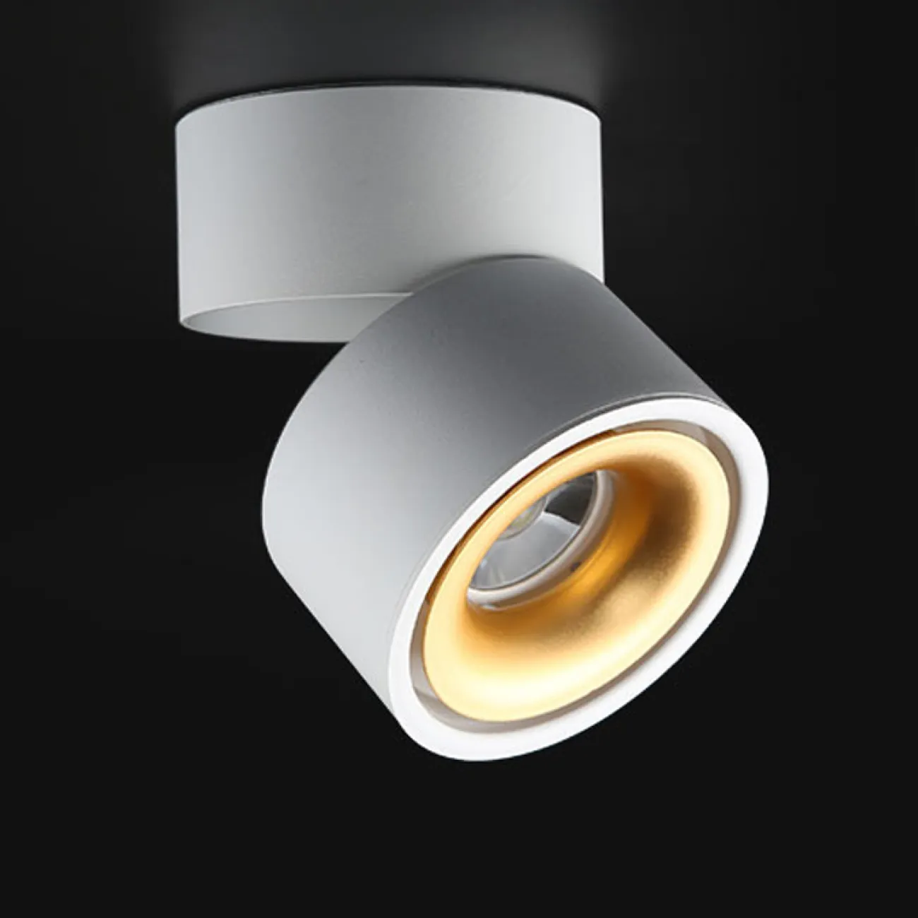Потолочный светильник AGENDA White+Gold 5W от ImperiumLoft