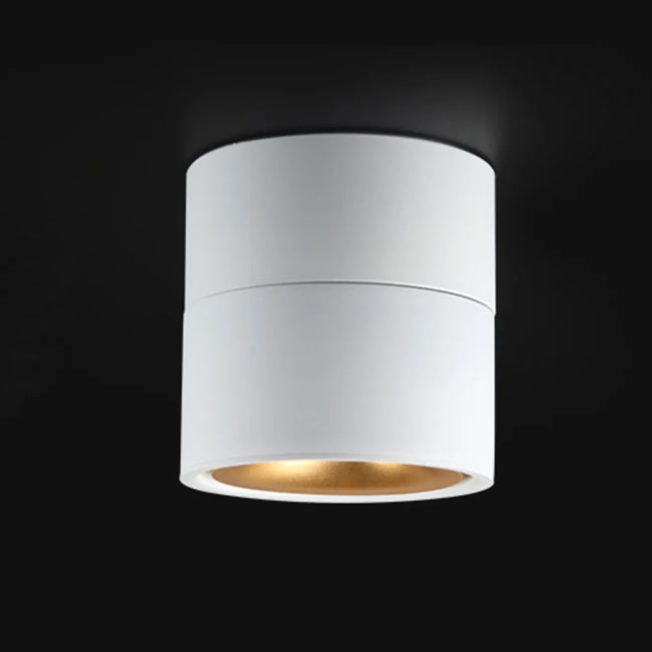 Потолочный светильник AGENDA White+Gold 5W от ImperiumLoft