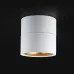 Потолочный светильник AGENDA White+Gold 3W