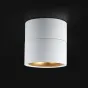 Потолочный светильник AGENDA White+Gold 5W от ImperiumLoft