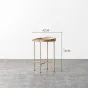Дизайнерский журнальный столик LaLume-AP00257