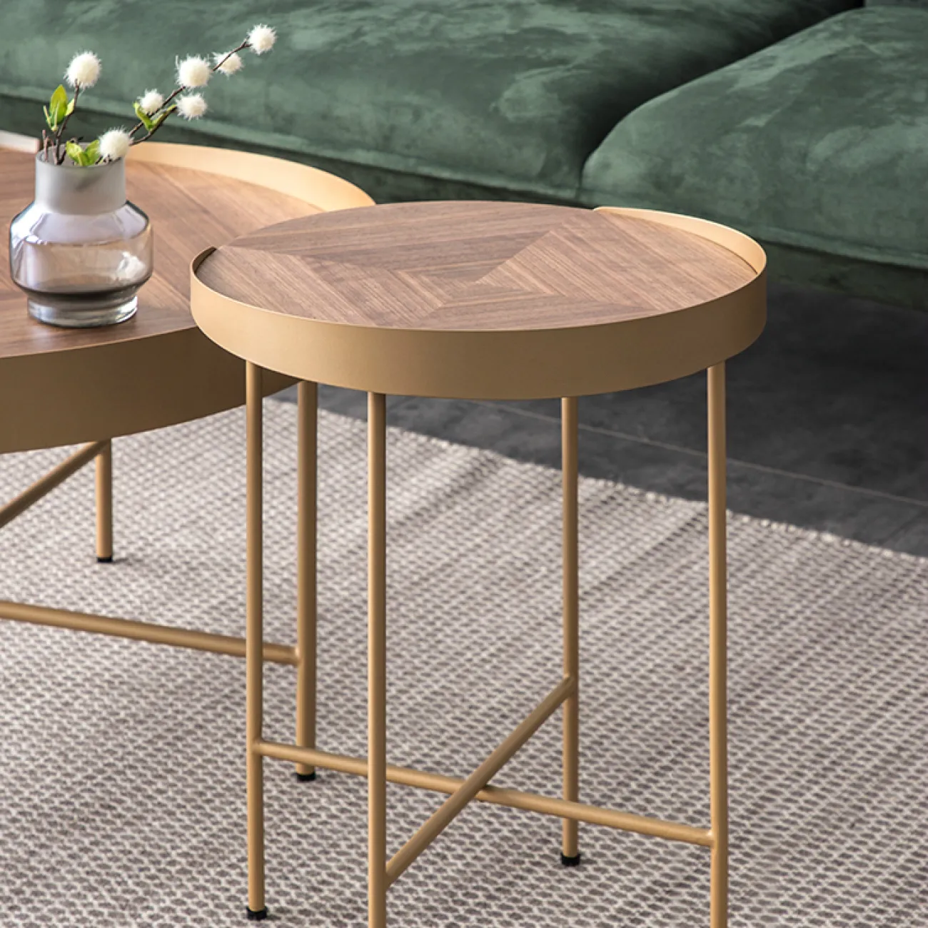 Дизайнерский журнальный столик LaLume-AP00257 Дизайнерский журнальный столик LaLume-AP00257