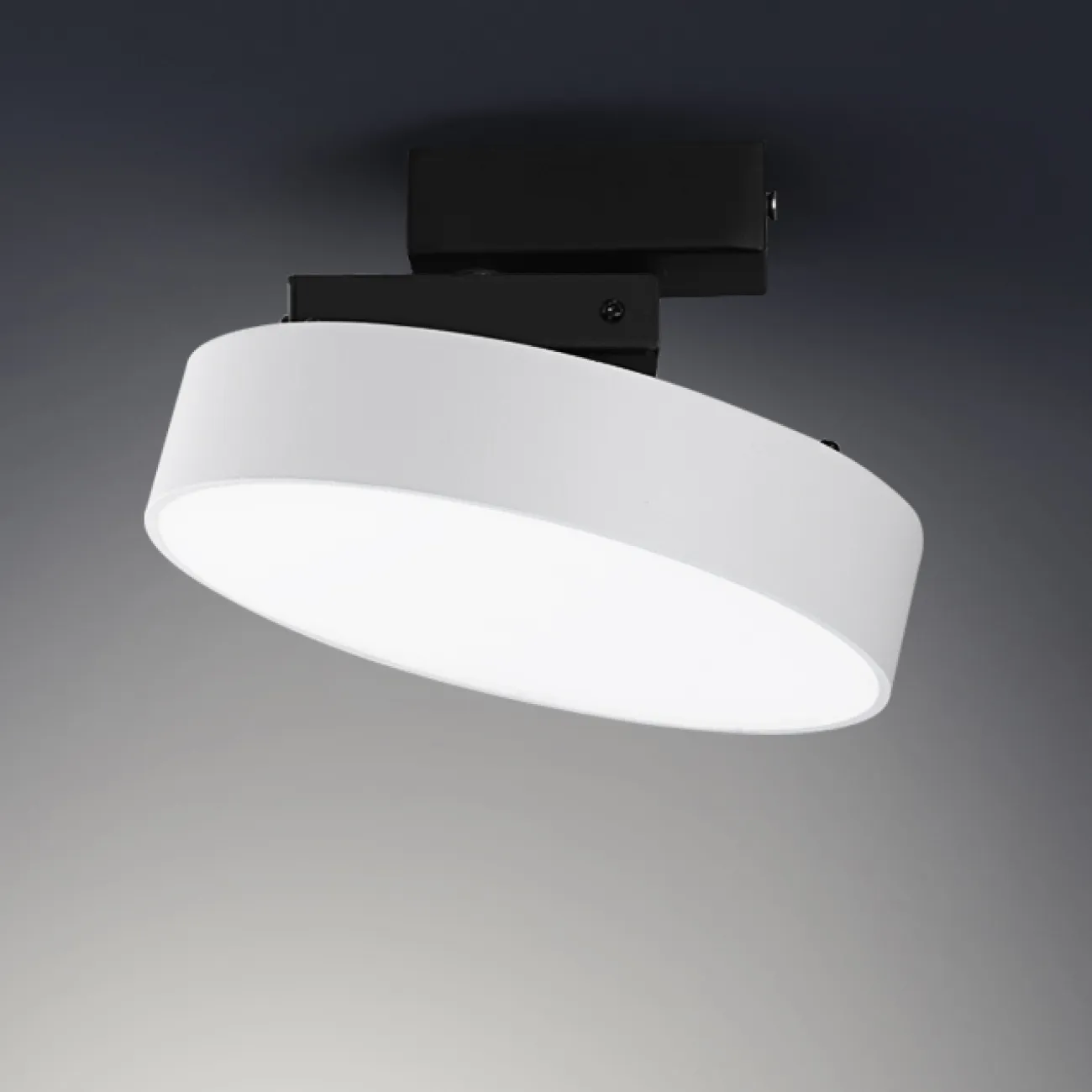 Светодиодный потолочный светильник с поворотным механизмом ALIT 4000К