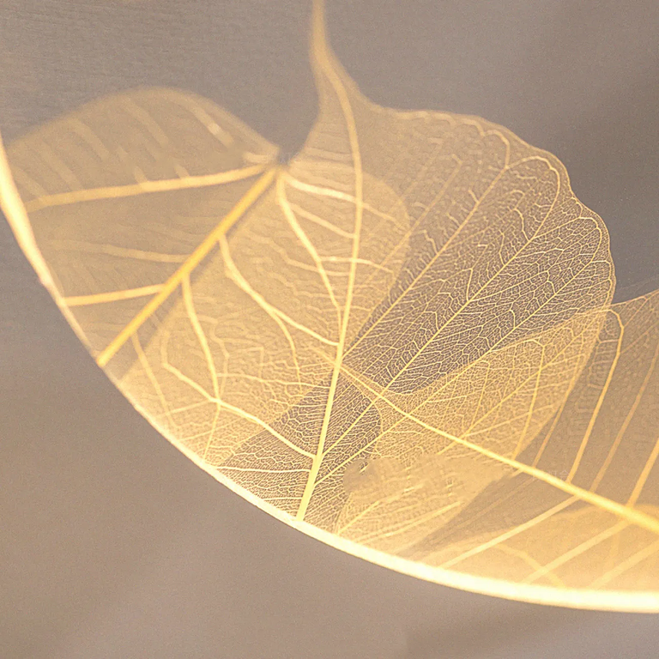 Потолочный светильник ALFINE от ImperiumLoft Потолочный светильник ALFINE от ImperiumLoft