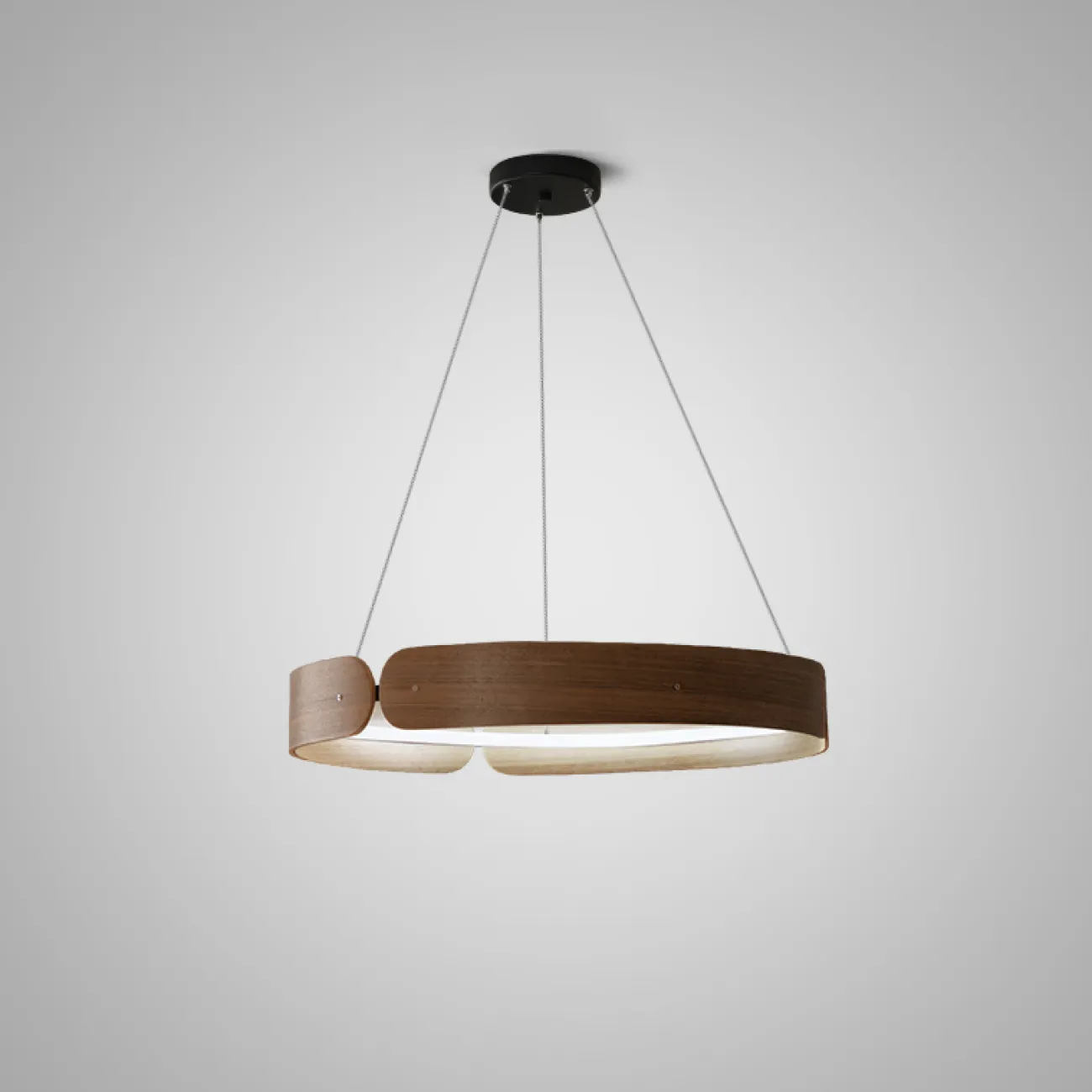 Подвесной кольцевой светильник RANGE 2 от ImperiumLoft