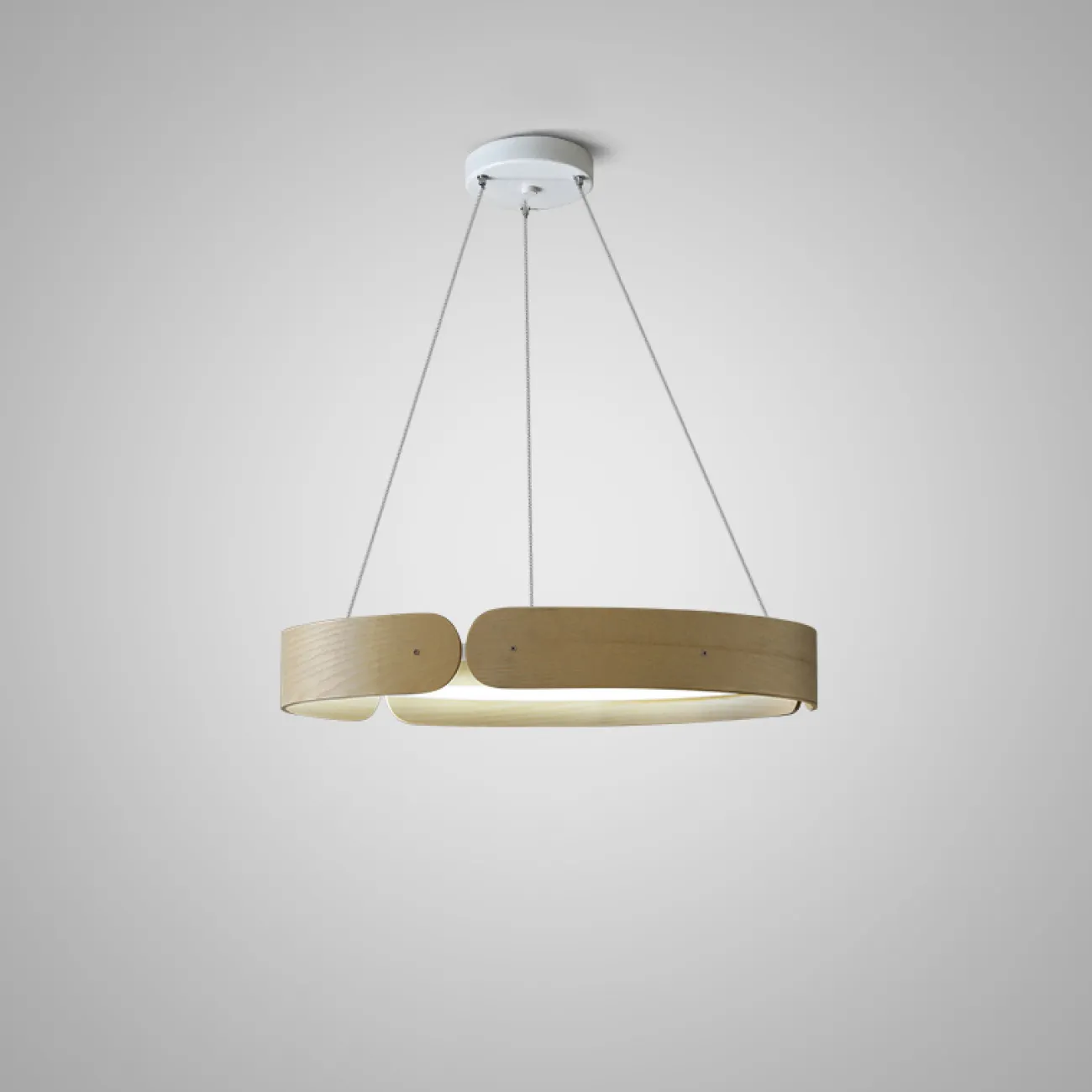 Подвесной кольцевой светильник RANGE 2 от ImperiumLoft